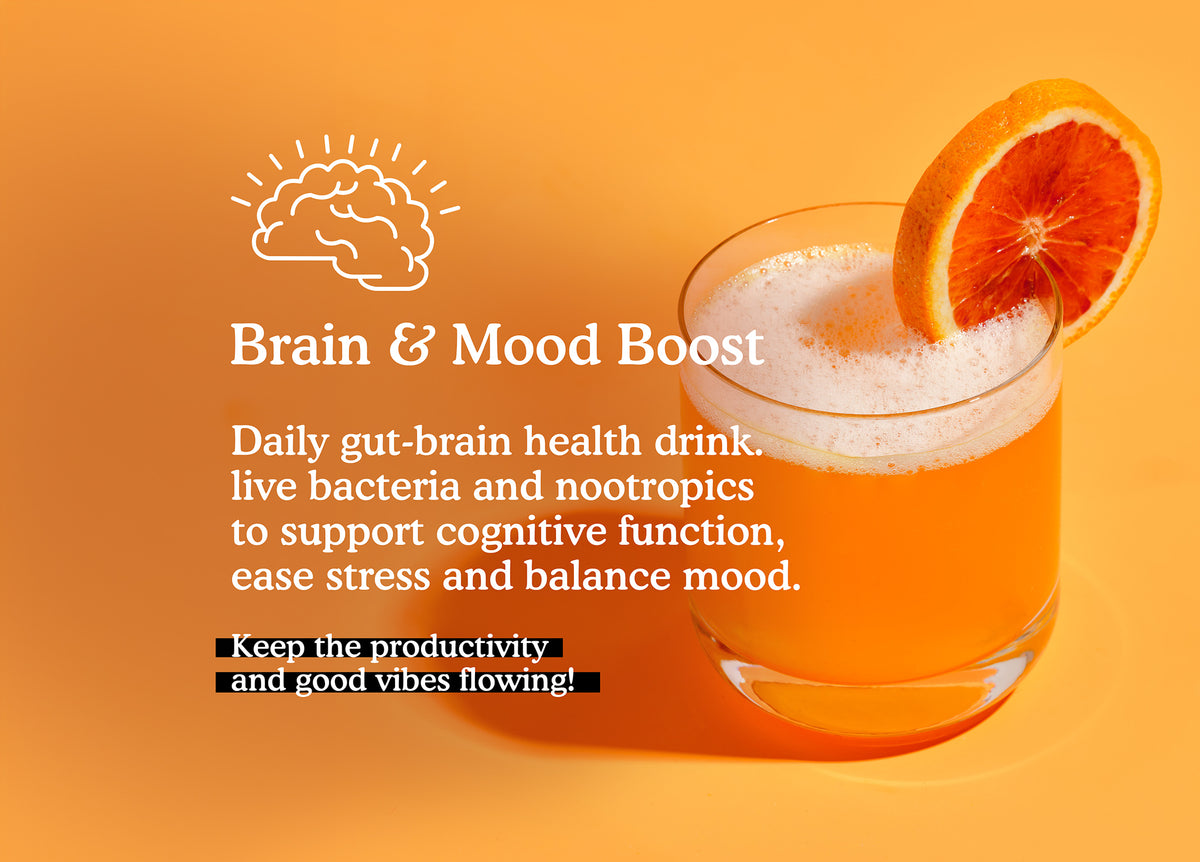 Gut-Brain Health Drink | Psychobiotics + Nootropics for Mood & Cognitive Support