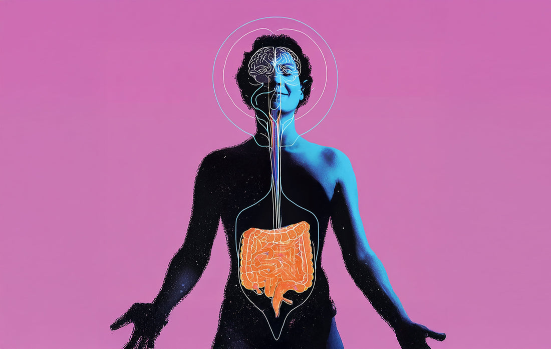 Lactobacillus Helveticus (R0052): The Science Behind Nature's Mood Stabilizer