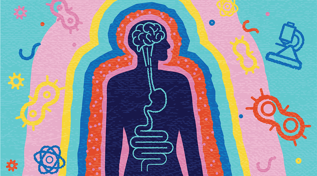 The Gut-Brain Connection: Unveiling the Power of Bifidobacterium Longum (R0175)