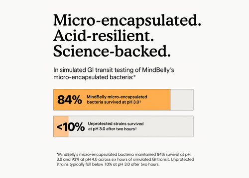 Gut-Brain Health Drink | Psychobiotics + Nootropics for Mood & Cognitive Support