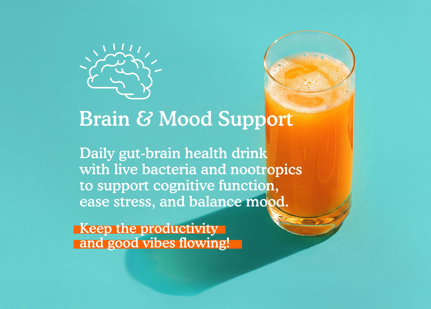 Gut-Brain Health Drink | Psychobiotics + Nootropics for Mood &amp; Cognitive Support
