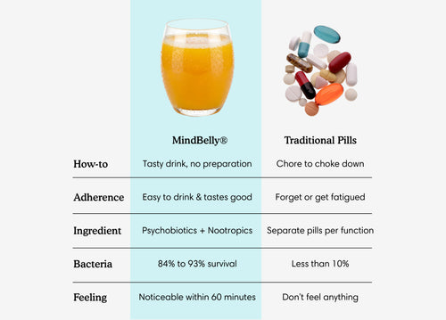Gut-Brain Health Drink | Psychobiotics + Nootropics for Mood & Cognitive Support