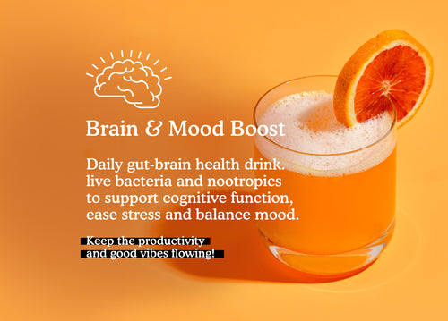 Gut-Brain Health Drink | Psychobiotics + Nootropics for Mood & Cognitive Support