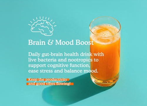 Gut-Brain Health Drink | Psychobiotics + Nootropics for Mood & Cognitive Support