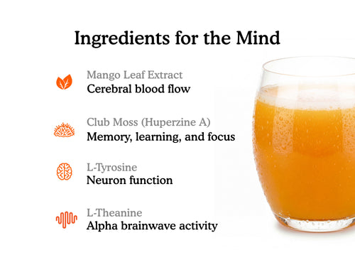 Gut-Brain Health Drink | Psychobiotics + Nootropics for Mood & Cognitive Support
