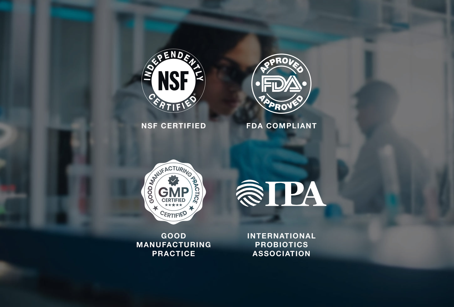 MindBelly Mindful Mango Orange | Gut-Brain Health Drink | Psychobiotics + Nootropics